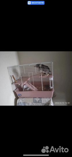 Клетка для шиншиллы