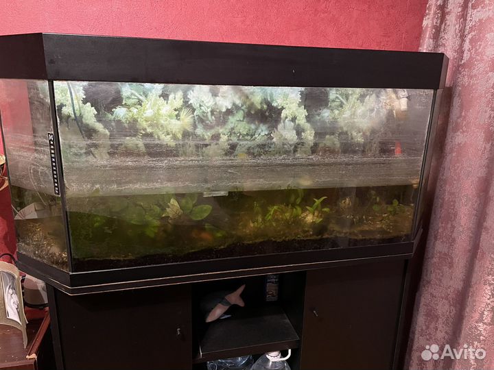 Аквариум с тумбой
