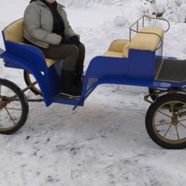 Экипаж для лошади