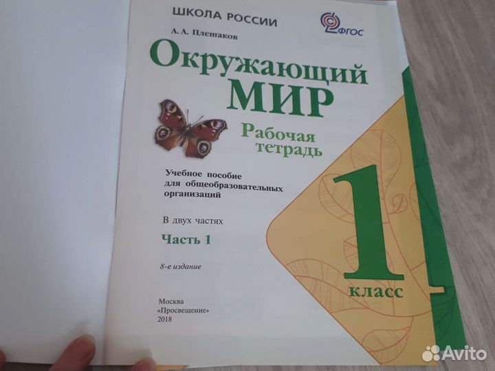 Рабочие тетради 1 класс окружающий мир