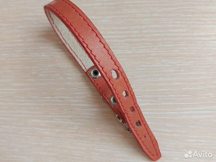 Поводок и ошейник для собак