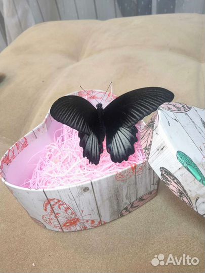 Необычный подарок