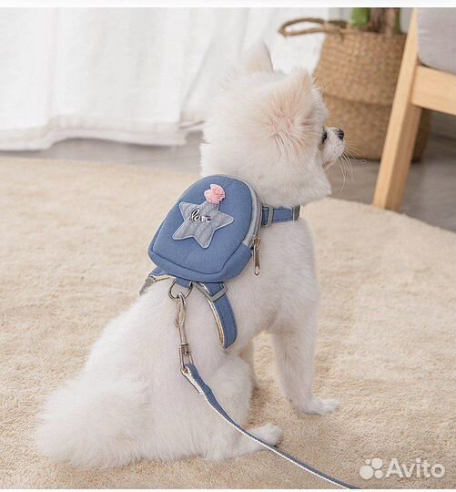 Шлейка с рюкзаком поводок ошейник