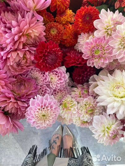 Букет георгин