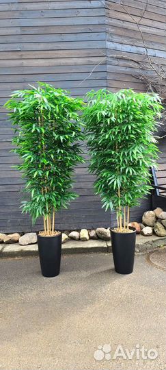 Искусственный Бамбук