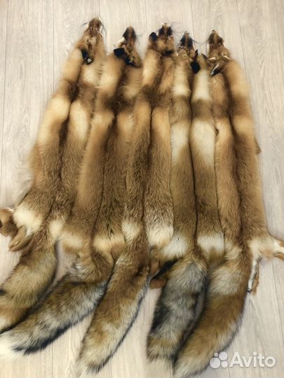 Шкуры рыжей лисы