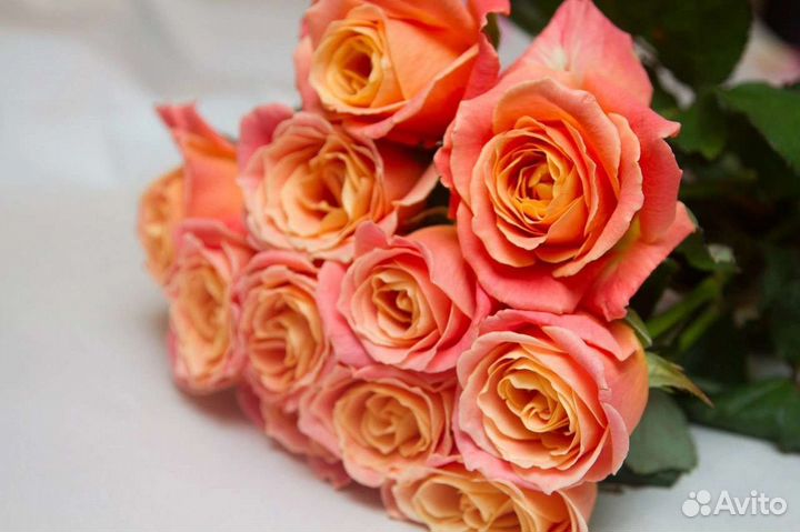 Цветы розы букет