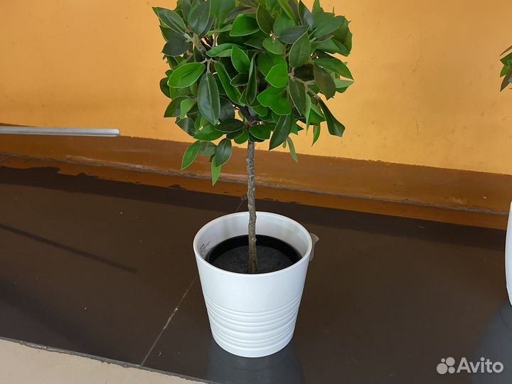 Искусственные цветы в горшках