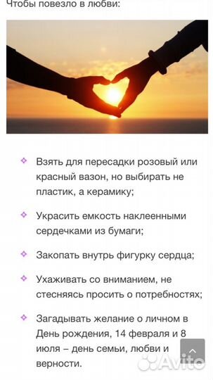 Фикус Бенджамина