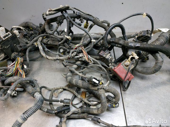 Проводка двс Nissan Qashqai+2 JJ10E MR20DE 2010