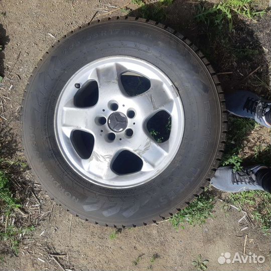 R17 Nordman WR SUV 265/65, PCD 5x112 DIA 66.6