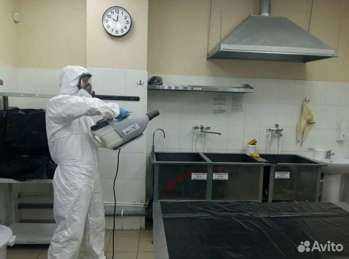 Уничтожение насекомых