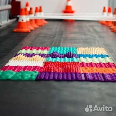 Занятия с собаками, стрижка собак и кошек