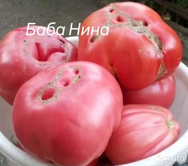 Семена сортовых томатов. не гмо не гибриды