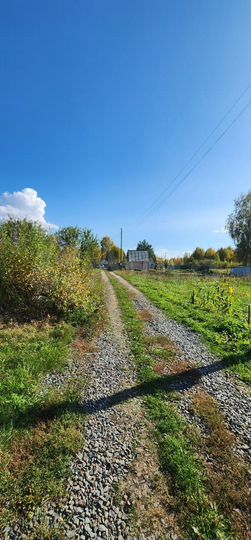 Участок 12 сот. (ИЖС)