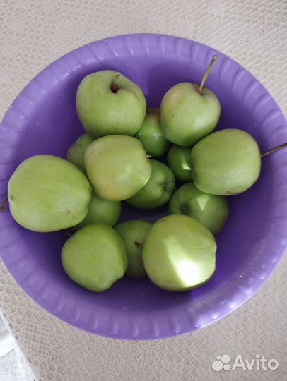 Яблоки домашние