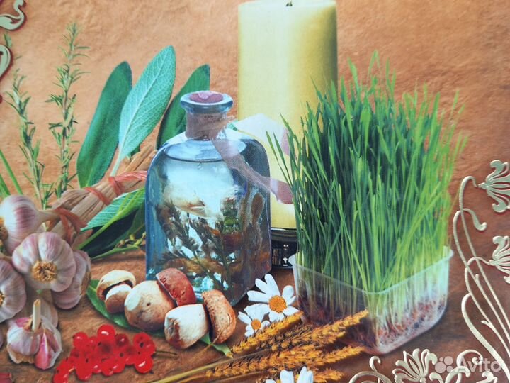 Большая энциклопедия народной медицины