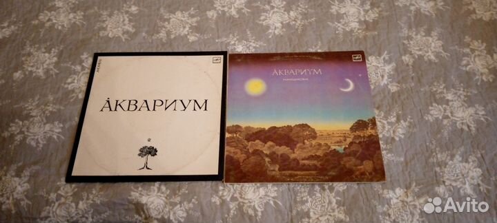 Виниловые пластинки Аквариум