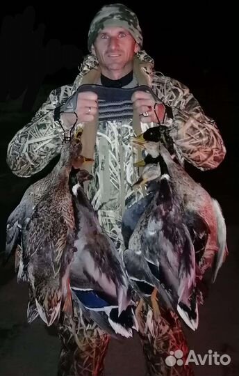 Организация охоты