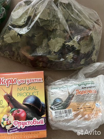 Террариум для улиток вместе с кормом