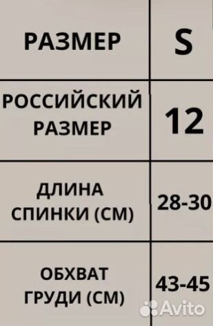 Одежда для собак мелких пород