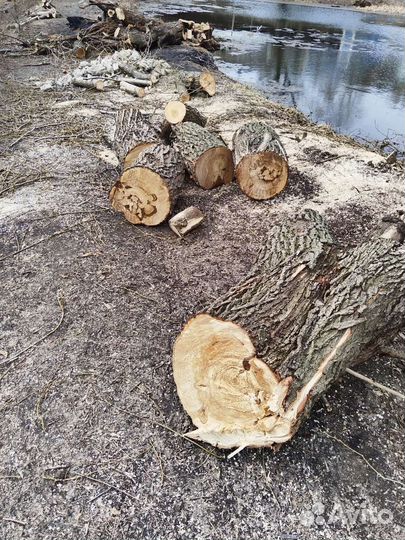 Дрова бесплатно самовывоз
