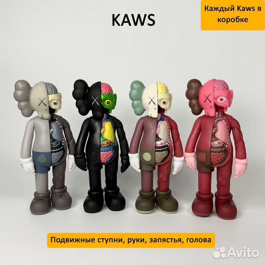 Kaws Anatomy