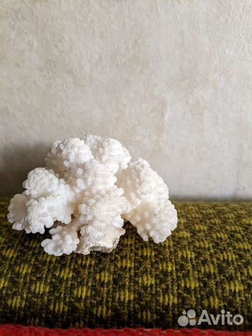 Белый объемный коралл