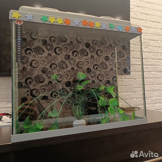 Аквариум 40л