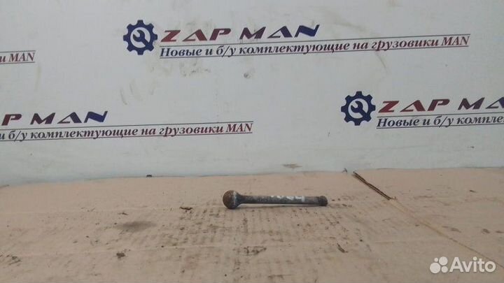 Шток пгу Man Tga