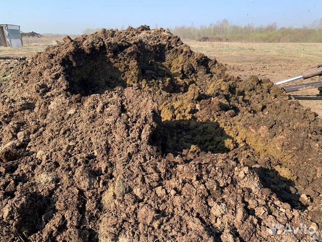 Супесь для отсыпки Вашего участка и перегной коров