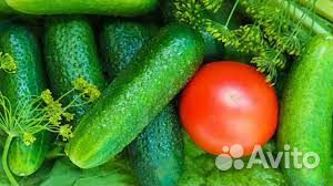 Разнорабочий вахта