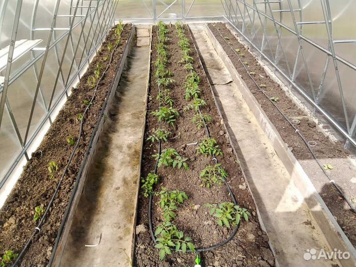 Теплица арочная с доставкой