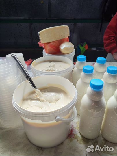 Мясо домашней индейки, кролика, утки