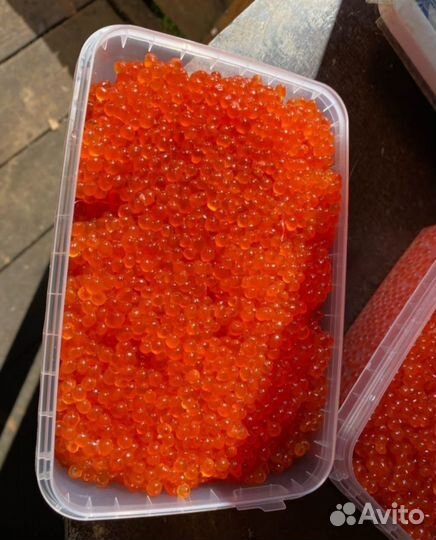 Икра кеты красная