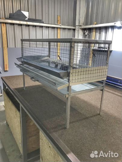 Клетки для перепелов