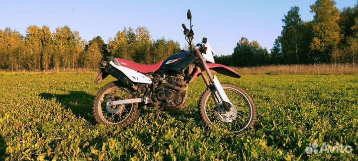 Ирбис ттр250