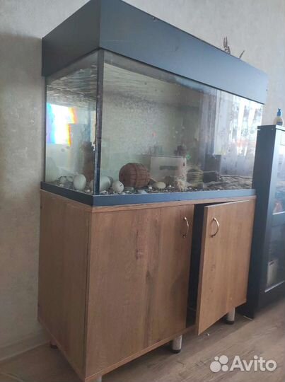 Аквариум