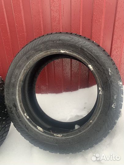 Gislaved NordFrost 100 195/55 R15