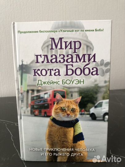 Уличный кот по имени Боб