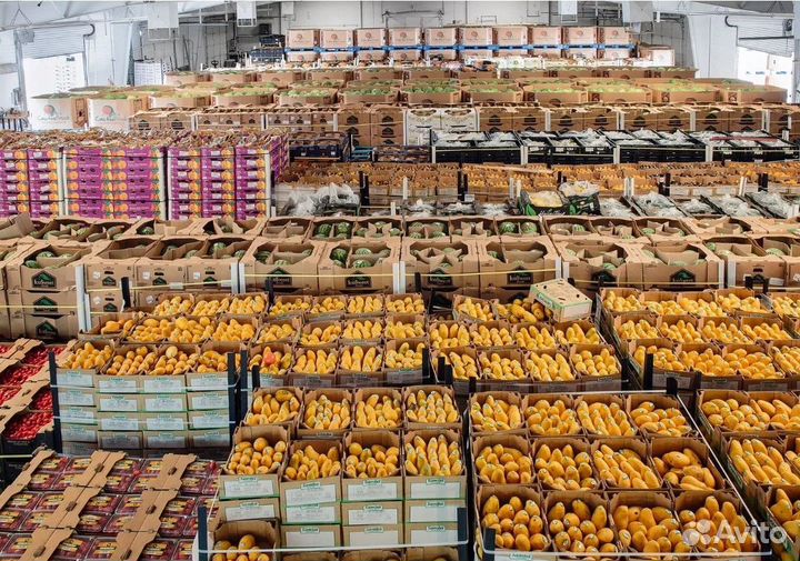 Мясная овощная продукция, фрукты с базы