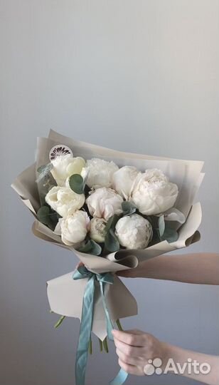 Голландские пионы букет