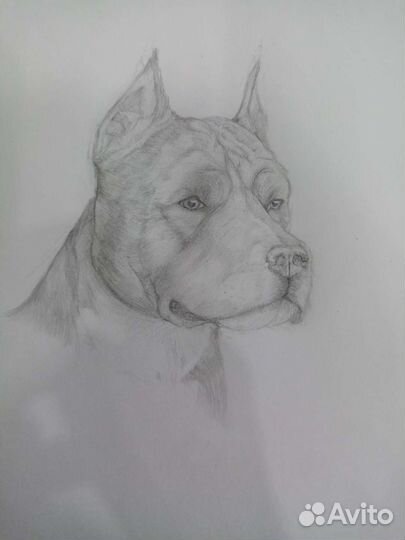 Рисунки на заказ