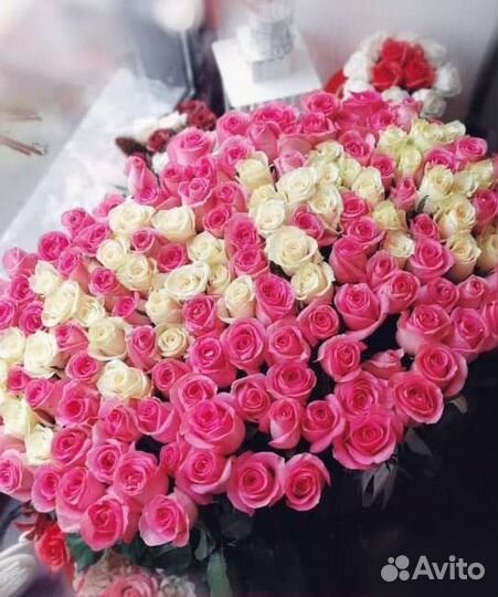 101 Роза Цветы Букеты 501 51 25 Роз Доставка