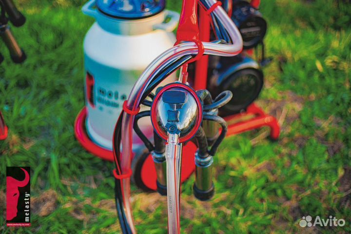 Доильный аппарат TK2-AK Melasty передвижной