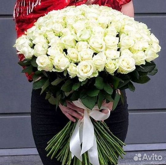 Розы Букеты Цветы Розы 31 101 151 201 Доставка