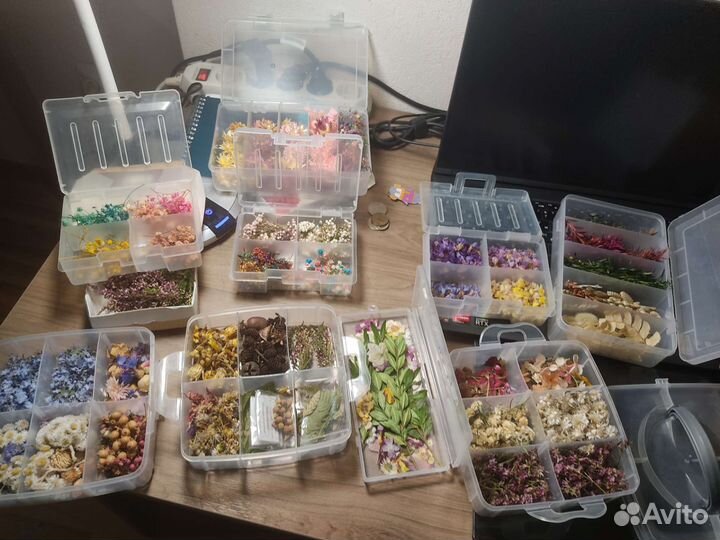 Сухоцветы для творчества, смолы