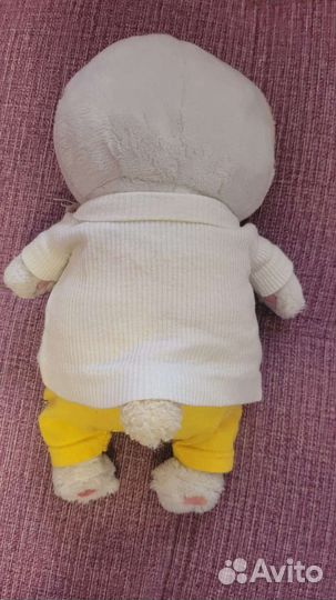 Кот Басик(Лили)