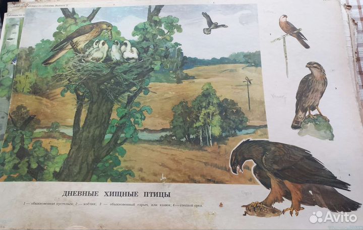 Плакаты обучающие СССР 3