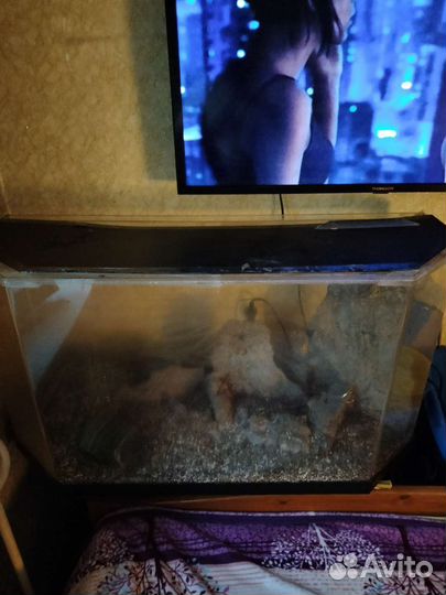 Аквариум из оргстекла